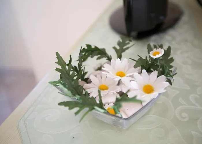 Casa Saina Rovinj