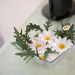 Casa Saina ロヴィニ